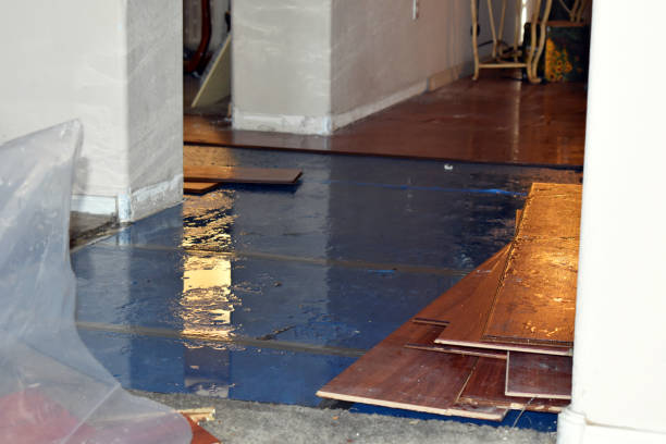 Professional Basement Flood Cleanup technician working in Randolph, TX